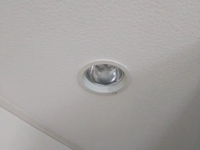 照明　シーリングライト　ダウンライト　シーリングファン　交換、取付いたしますサービスの画像