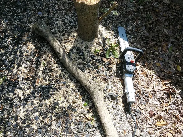 ◇庭木の剪定専門業者◇拘りの完全自社施工◇素敵なお庭作りサポートサービスの画像