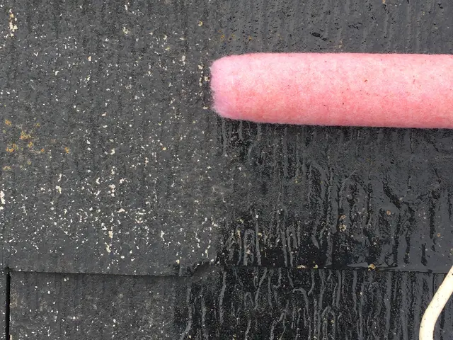 屋根塗装(スレート)サービスの画像