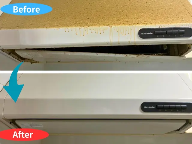 油汚れを徹底分解！レンジフードクリーニング【クオリティ重視・高評価多数◎】サービスの画像