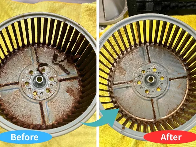 油汚れを徹底分解！レンジフードクリーニング【クオリティ重視・高評価多数◎】サービスの画像