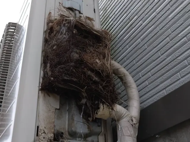 【対応地域外相談OK】最適な鳩対策プランをご提供いたします！サービスの画像