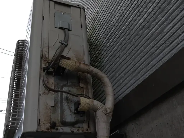 【対応地域外相談OK】最適な鳩対策プランをご提供いたします！サービスの画像