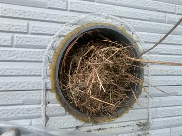 【対応地域外相談OK】最適な鳩対策プランをご提供いたします！サービスの画像