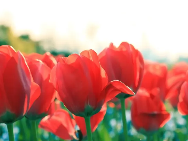 【Photoshopレタッチ無料】スナップ☆ポートレート☆イベント☆商用写真撮影