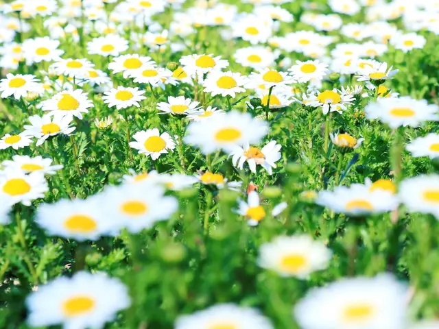 【Photoshopレタッチ無料】スナップ☆ポートレート☆イベント☆商用写真撮影