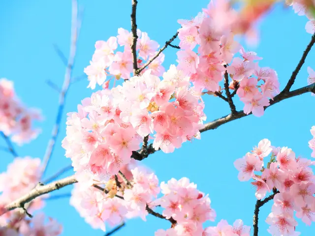 【Photoshopレタッチ無料】スナップ☆ポートレート☆イベント☆商用写真撮影