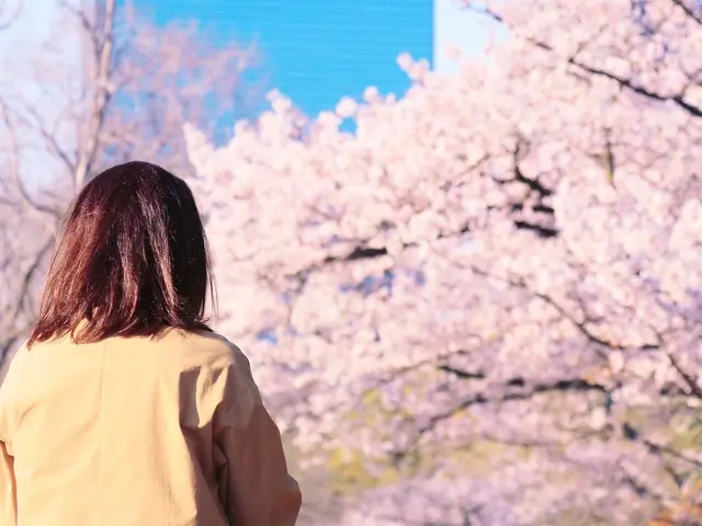 【Photoshopレタッチ無料】スナップ☆ポートレート☆イベント☆商用写真撮影