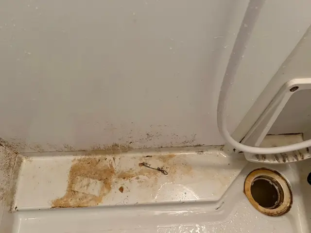 お客様のお力になります！経験と知識を活かして迅速丁寧に作業いたしますサービスの画像