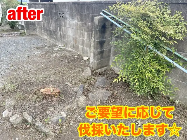 【こんなこと聞いていいの？】のご要望にお応え◎お庭スッキリ！木を伐採◎サービスの画像