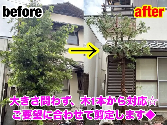 【こんなこと聞いていいの？】のご要望にお応え◎お庭スッキリ！木を伐採◎サービスの画像
