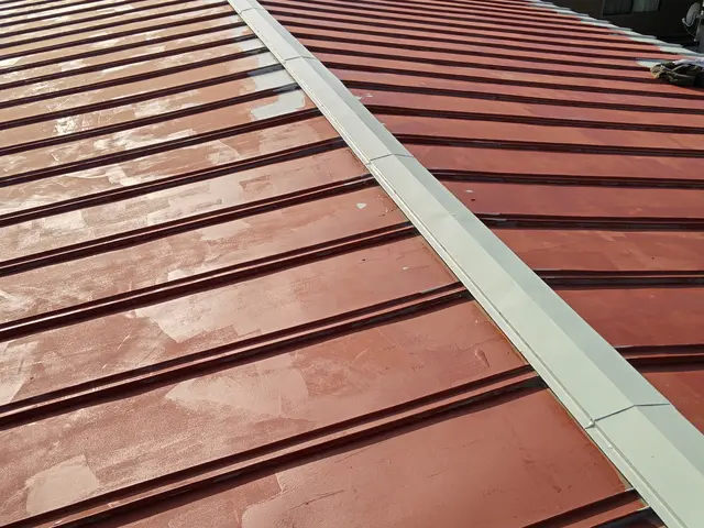 屋根塗装はお任せください。ベテラン職人が一生懸命努めます。サービスの画像