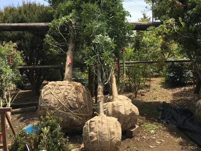 ◎作業外注一切なし◎当社スタッフがすべてご対応！サービスの画像