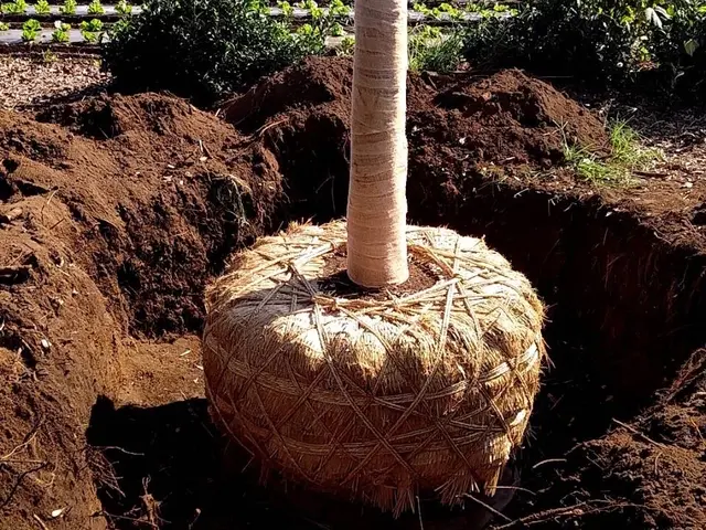 ◎作業外注一切なし◎当社スタッフがすべてご対応！サービスの画像