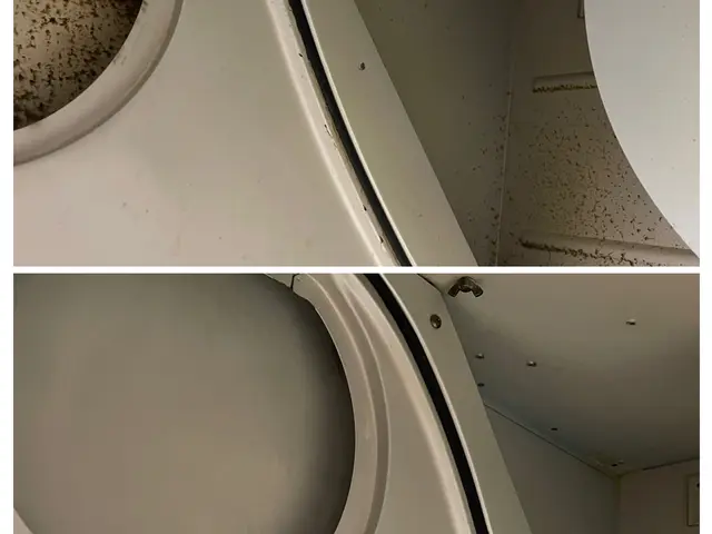 ★新規出店★大手清掃会社より独立！ファン分解洗浄お任せ下さい。シッカリ洗浄！！サービスの画像