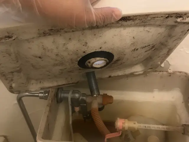 ※ただいま福岡市ネクスペイOK♫現金払いを選択しお支払いくださいサービスの画像