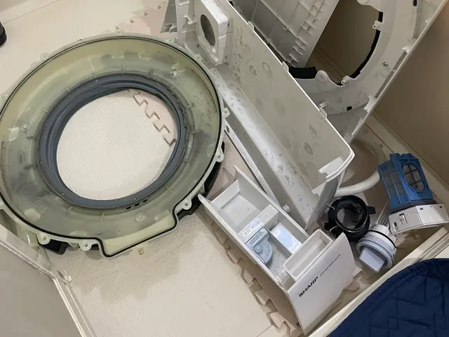 【新規出展キャンペーン割引中】ドラム式洗濯機をピカピカクリーニングサービスの画像