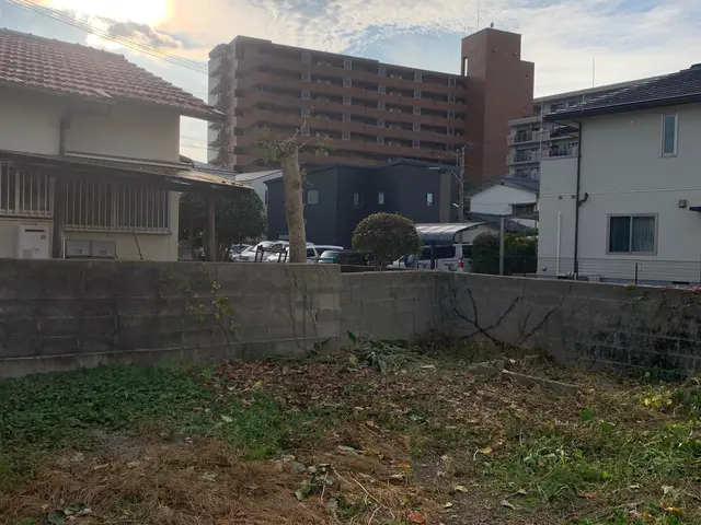 【伐採・抜根、1本から】【現地お見積り無料】ご要望やご相談をお聞かせください！サービスの画像