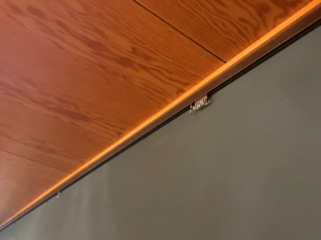 ピクチャーレール取付、正確に下地に取付、カット対応サービスの画像