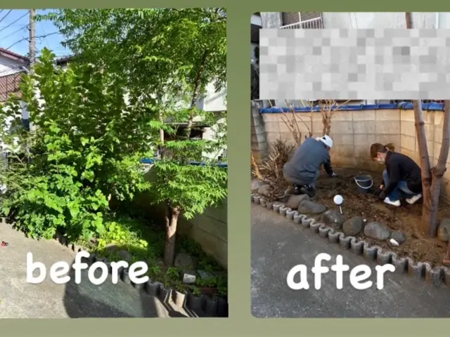 草むしり（手作業）サービスの画像