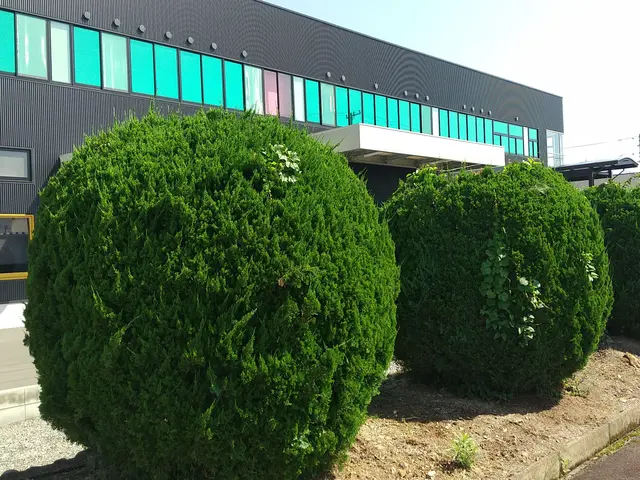 無料見積もり可！生垣等の剪定は「お庭屋N-works」にお任せ下さい！サービスの画像