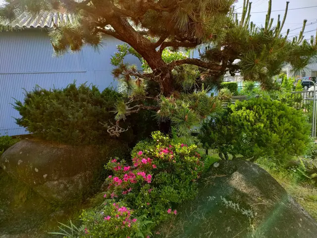 無料見積もり可！生垣等の剪定は「お庭屋N-works」にお任せ下さい！サービスの画像