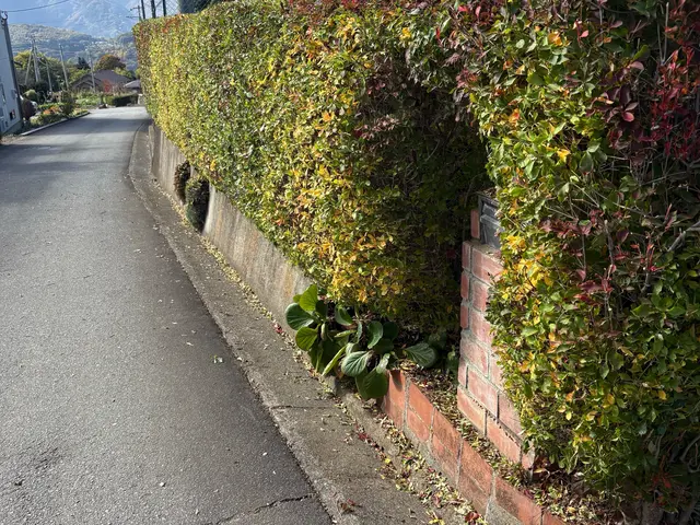 【女性スタッフ同行】ご要望を丁寧にお聞きし、理想の庭を実現するオーダーメイド剪定サービスの画像