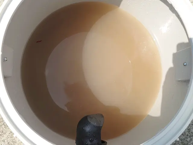 【猫好き★秋田出身25歳】アルカリ電解水とお湯だけ★PayPay他にも対応サービスの画像