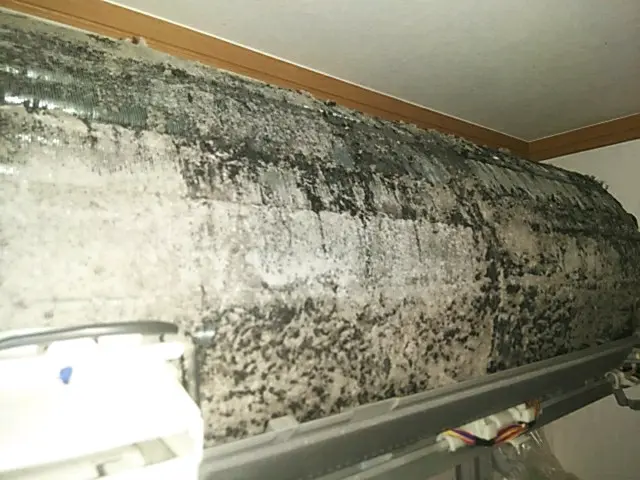  【クレジットカード払いOK駐車代お店負担◎損害保険 ◆100%自社対応！ サービスの画像