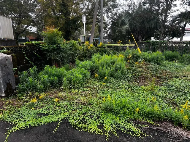◎自社スタッフがお伺いします◎女性スタッフ同行可◎アフターフォローも万全サービスの画像