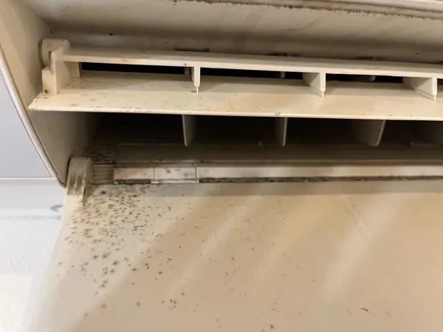 【残り2件】〜11月10日まで通常価格より10%OFF！1日2組まで平日限定★サービスの画像