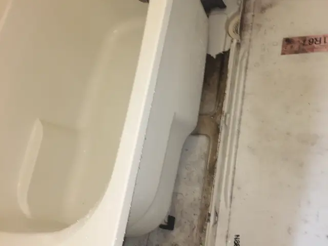 水回りクリーニング2点セット(浴室＋換気扇)サービスの画像