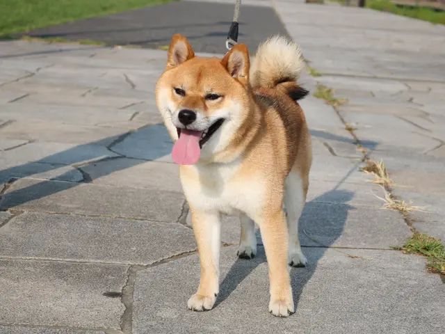 【夫婦で運営】女性スタッフ訪問可能♪リピーターが自慢◉動画や写真で報告します！サービスの画像