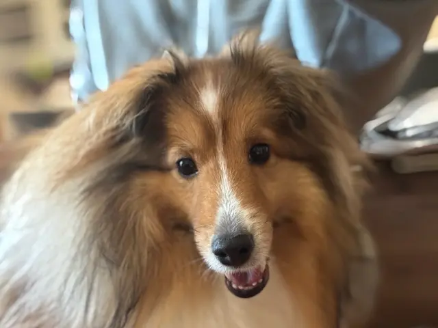 【夫婦で運営】女性スタッフ訪問可能♪リピーターが自慢◉動画や写真で報告します！サービスの画像