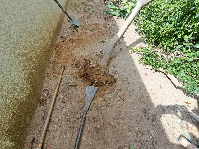 風と緑に命を宿す庭造り！当店は主の大切なお庭を良き心の郷里にと心掛けています。サービスの画像