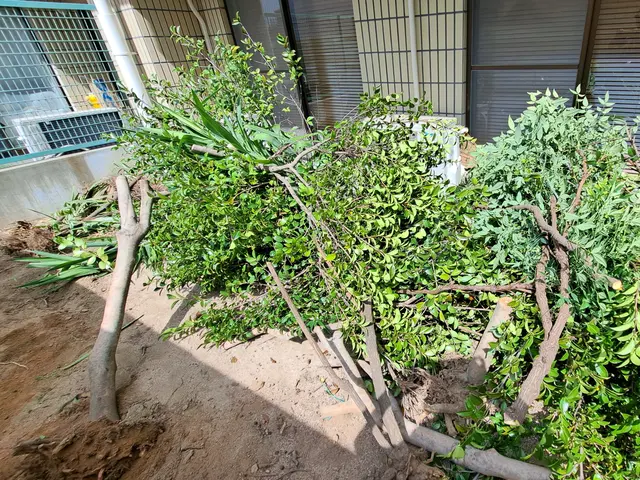 風と緑に命を宿す庭造り！当店は主の大切なお庭を良き心の郷里にと心掛けています。サービスの画像