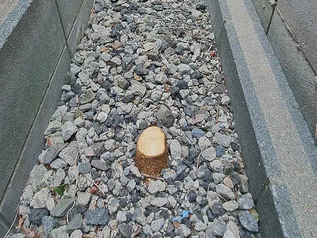 風と緑に命を宿す庭造り！当店は主の大切なお庭を良き心の郷里にと心掛けています。サービスの画像
