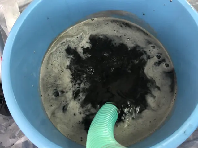 2台で更にお得♫元大手15年以上のクオリティで安心丁寧の分解の洗浄サービスの画像