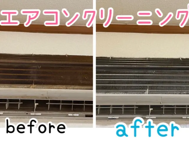 2台で更にお得♫元大手15年以上のクオリティで安心丁寧の分解の洗浄サービスの画像