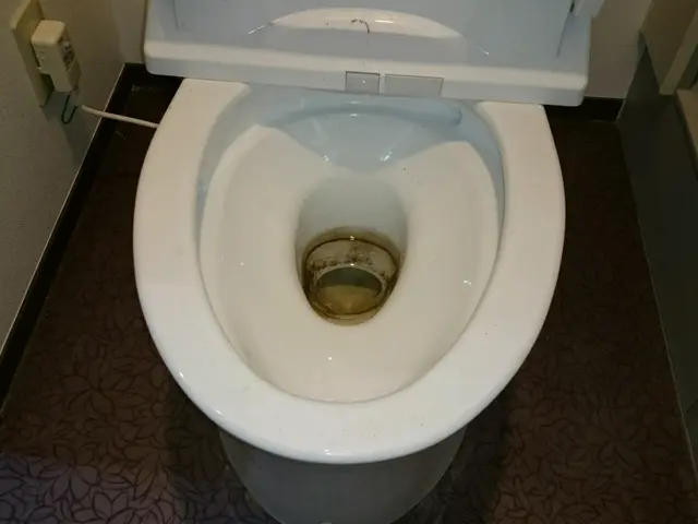 ご依頼はお早めにご検討下さい♪いい業者は早いもの勝ちサービスの画像