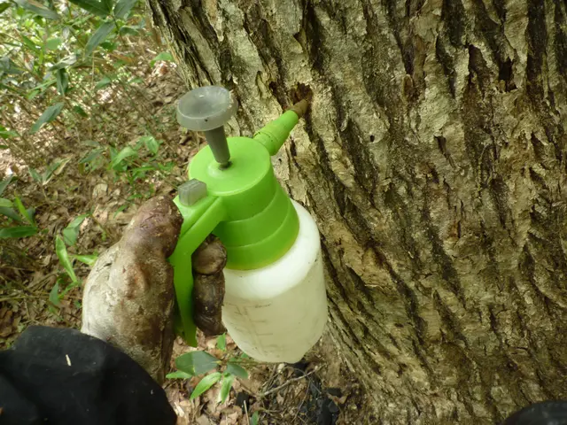 樹木の医者が適切に薬剤管理運営して、消毒作業等させて頂きます！サービスの画像