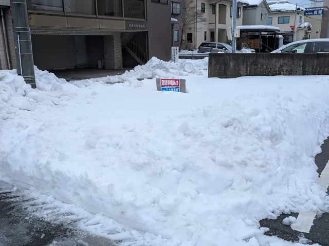 【交通費無料】雪掻き、お困り事など何でもご相談ください！サービスの画像