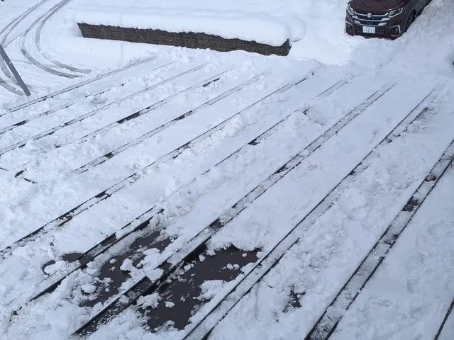 【交通費無料】雪掻き、お困り事など何でもご相談ください！サービスの画像