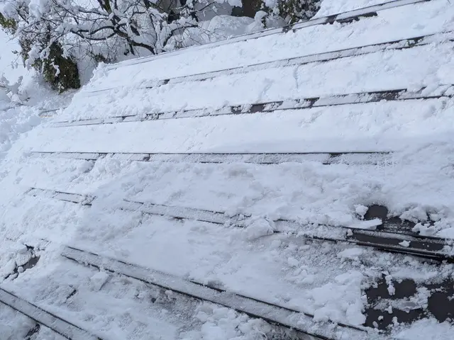 【交通費無料】雪掻き、お困り事など何でもご相談ください！サービスの画像