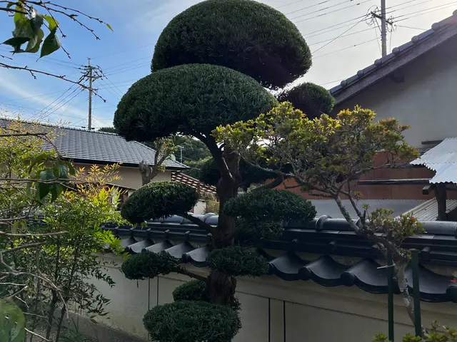 【業歴15年の経験と実績】作業外注なし全て自社施工！アフターフォローも万全サービスの画像