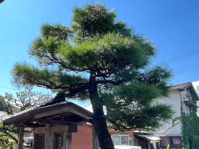 【業歴15年の経験と実績】作業外注なし全て自社施工！アフターフォローも万全サービスの画像