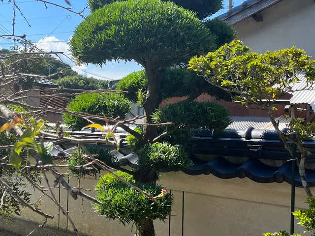 【業歴15年の経験と実績】作業外注なし全て自社施工！アフターフォローも万全サービスの画像