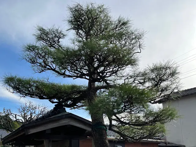 【業歴15年の経験と実績】作業外注なし全て自社施工！アフターフォローも万全サービスの画像