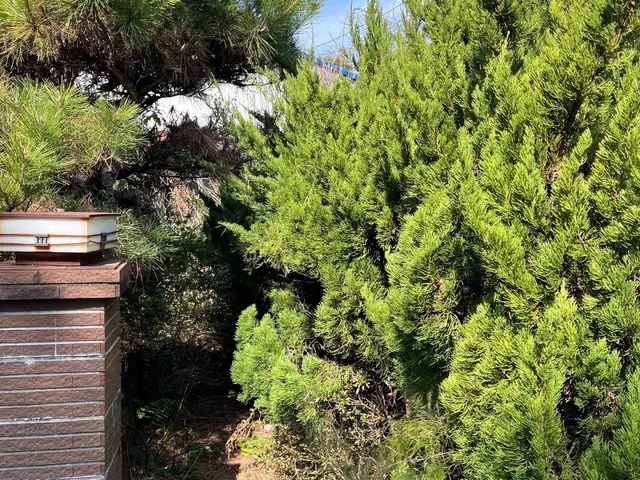 【業歴15年の経験と実績】作業外注なし全て自社施工！アフターフォローも万全サービスの画像