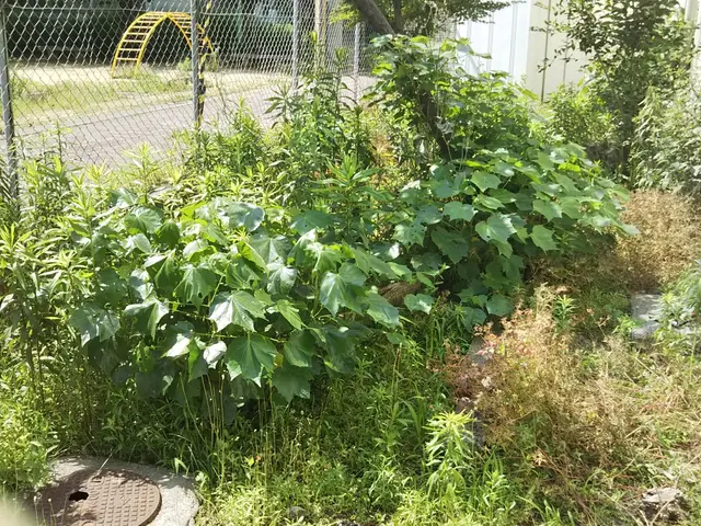 【業歴10年の経験実績】◎すべて自社対応★駐車場代お店負担サービスの画像